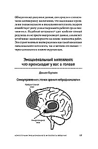 12 элементов эмоционального интеллекта: Как стать вдохновляющим лидером