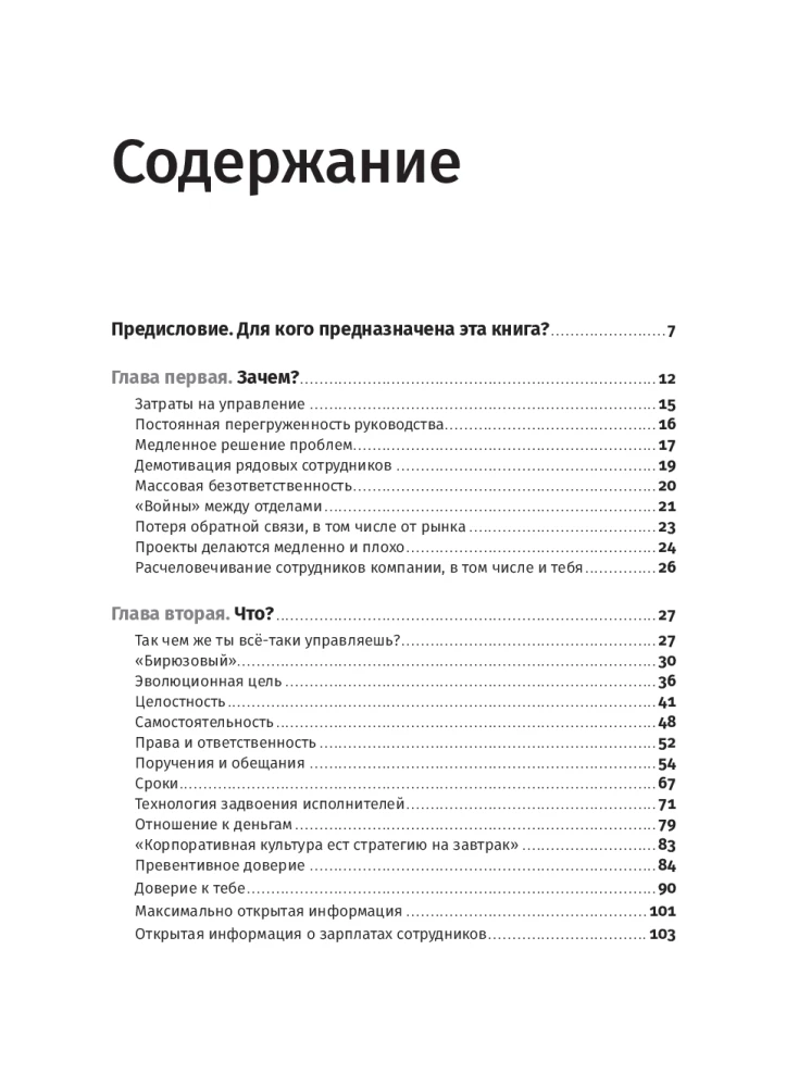 Бирюзовое управление на практике: Опыт российских компаний