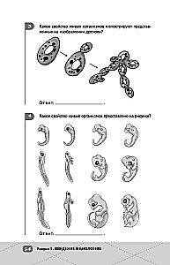 EGZ. Biologia