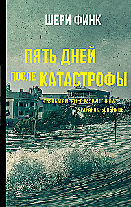Пять дней после катастрофы