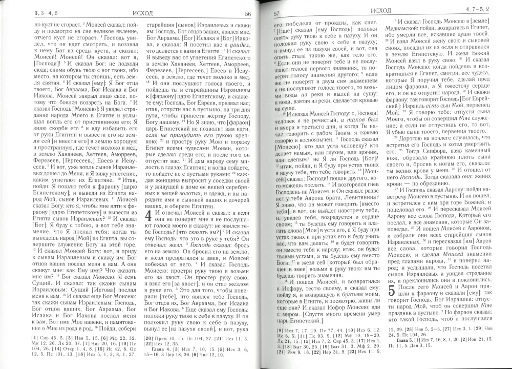 Die Bibel