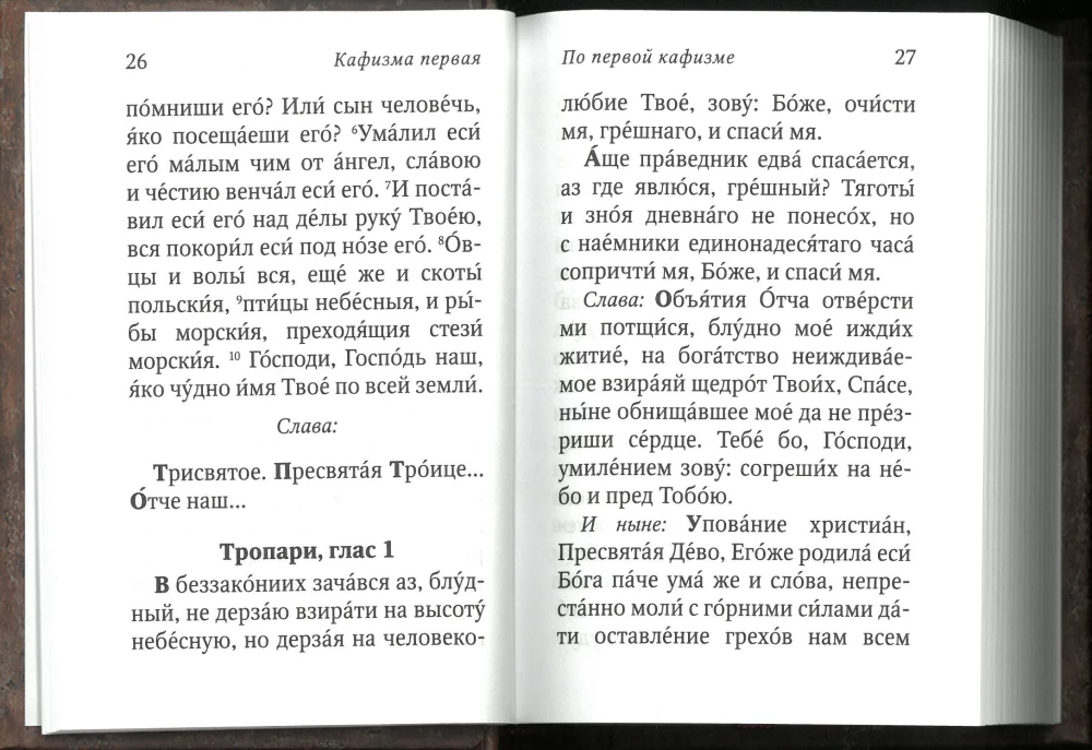 Prohvet Taaveti Psalter koos Arseny Kapadookia ja Paisius Athose õpetustega