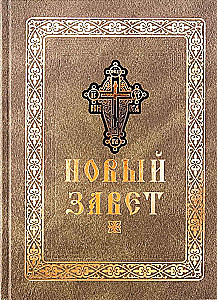 Nowy Testament (duża czcionka)