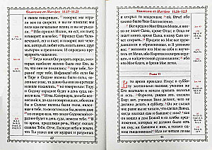 Nowy Testament (duża czcionka)