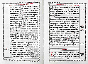 Nowy Testament (duża czcionka)