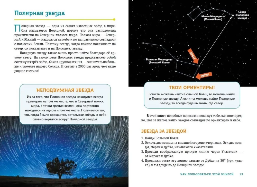 Constellations. The Mysteries of the Cycle of Celestial Bodies