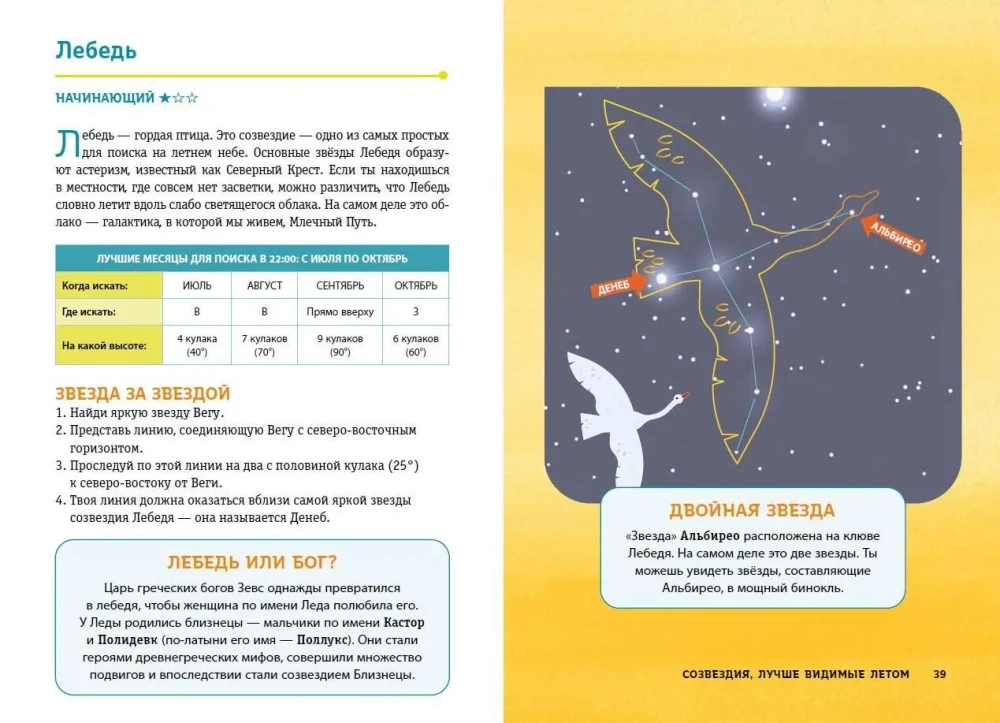 Constellations. The Mysteries of the Cycle of Celestial Bodies