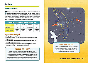 Constellations. The Mysteries of the Cycle of Celestial Bodies