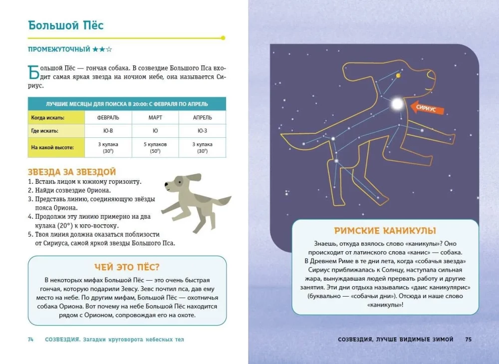 Constellations. The Mysteries of the Cycle of Celestial Bodies