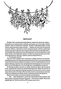 Der Coven des Lake Champlain. Trilogie