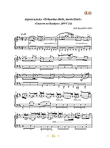 Musical Evenings: Collection for Soulful Music Making