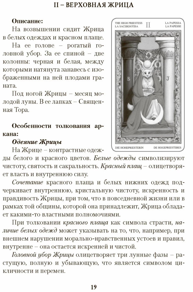 Games of White Cats. The Path of Self-Discovery