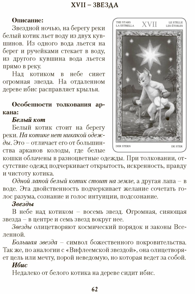 Games of White Cats. The Path of Self-Discovery