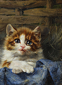 Katės ir katinai. Pasirinkta lyrika su iliustracijomis