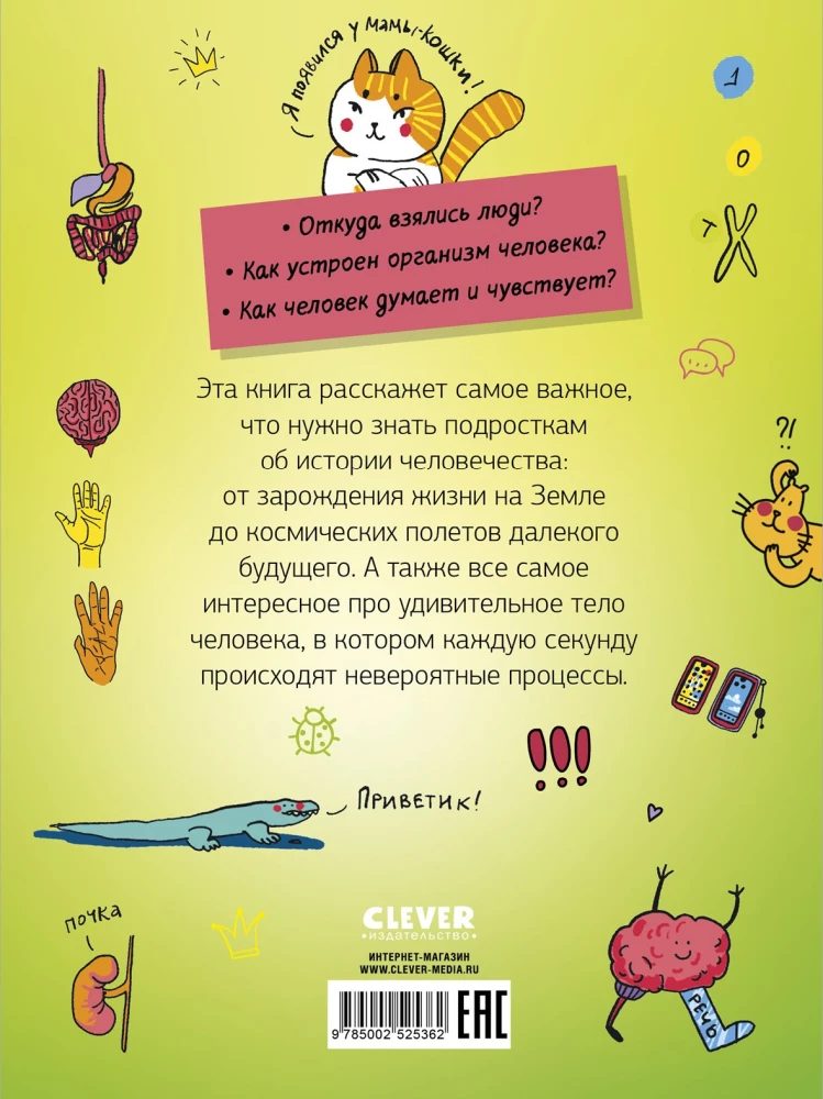 Real Biology. How the Human Body Works