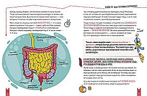 Real Biology. How the Human Body Works