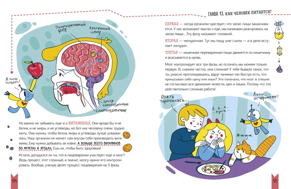 Real Biology. How the Human Body Works