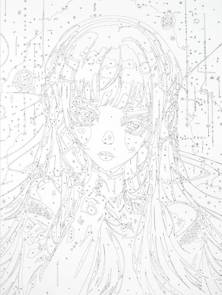 Color by numbers - Disco-Anime, 30x40cm
