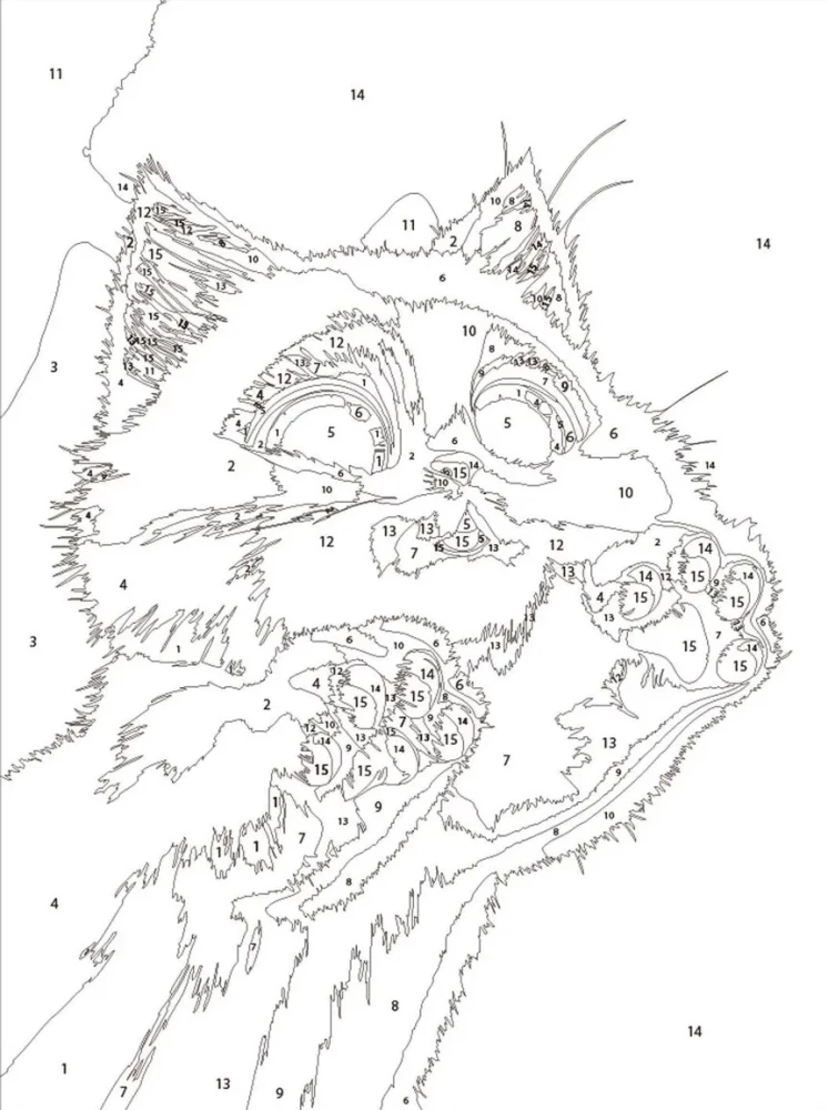 Painting by numbers - Fluffy Paws, 15x20cm