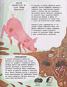 Мифы о животных