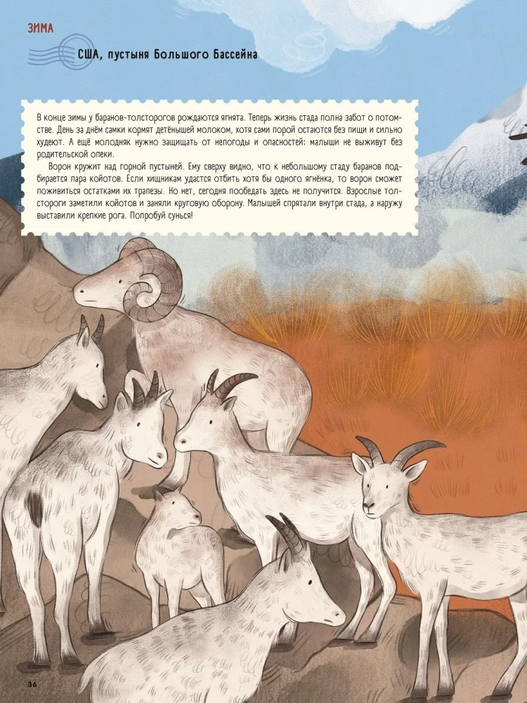 Dykumos: vieneri metai karščiausio biomo gyvenime