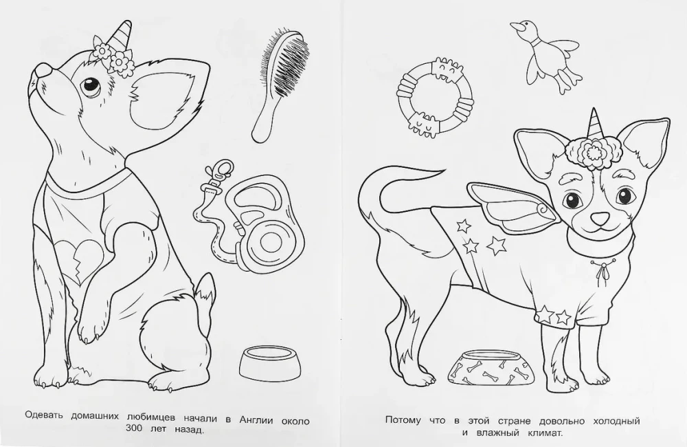 Modische Hunde