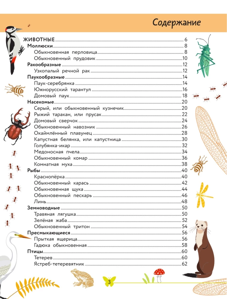 The World Around Us. Animals