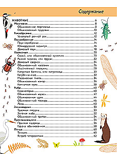 The World Around Us. Animals