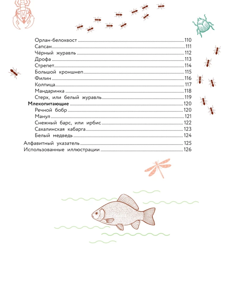 The World Around Us. Animals
