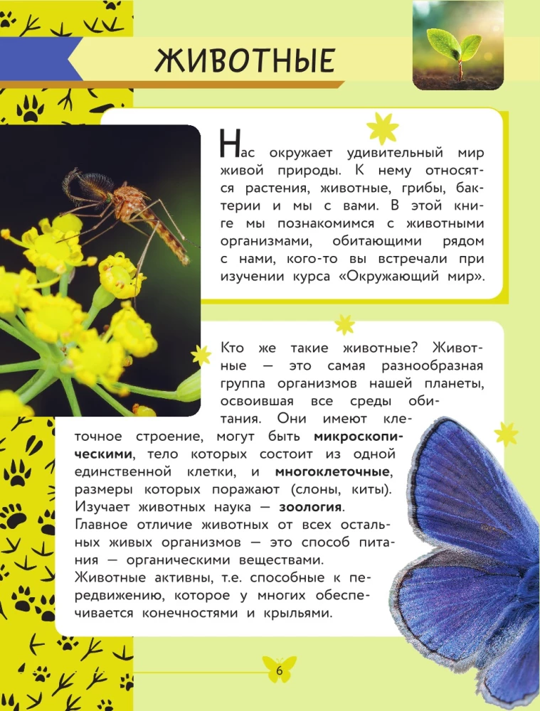 The World Around Us. Animals