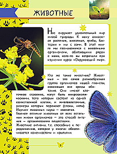The World Around Us. Animals