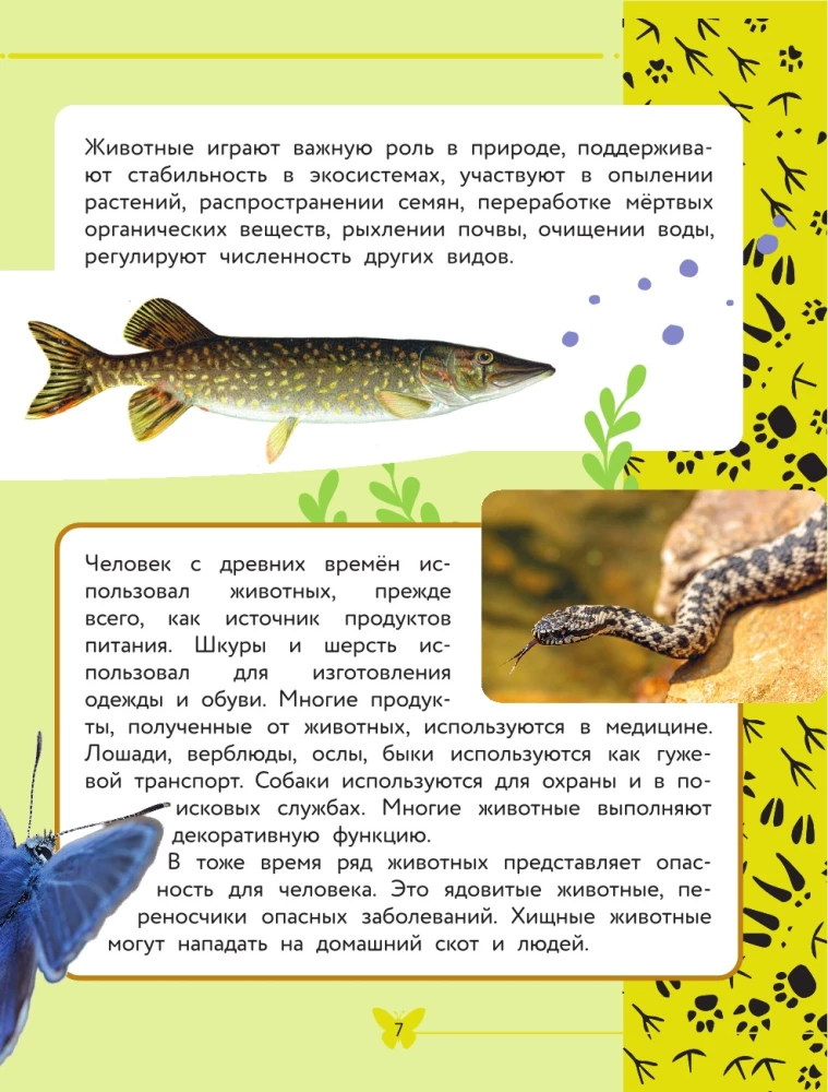 The World Around Us. Animals
