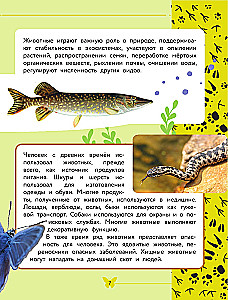 The World Around Us. Animals