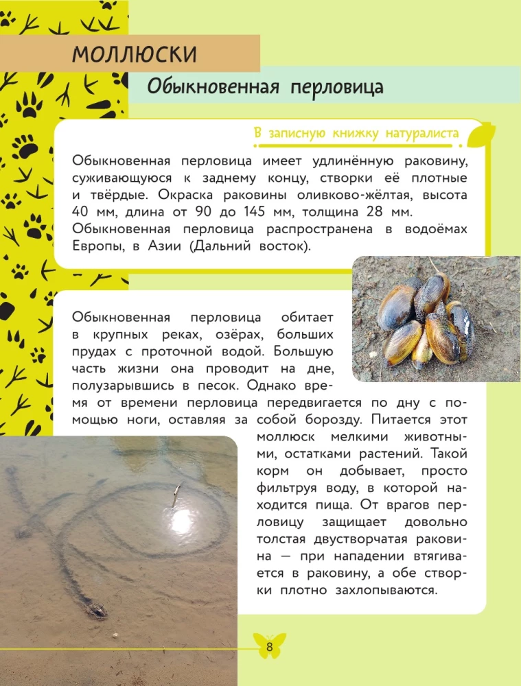 The World Around Us. Animals