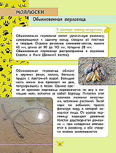 The World Around Us. Animals