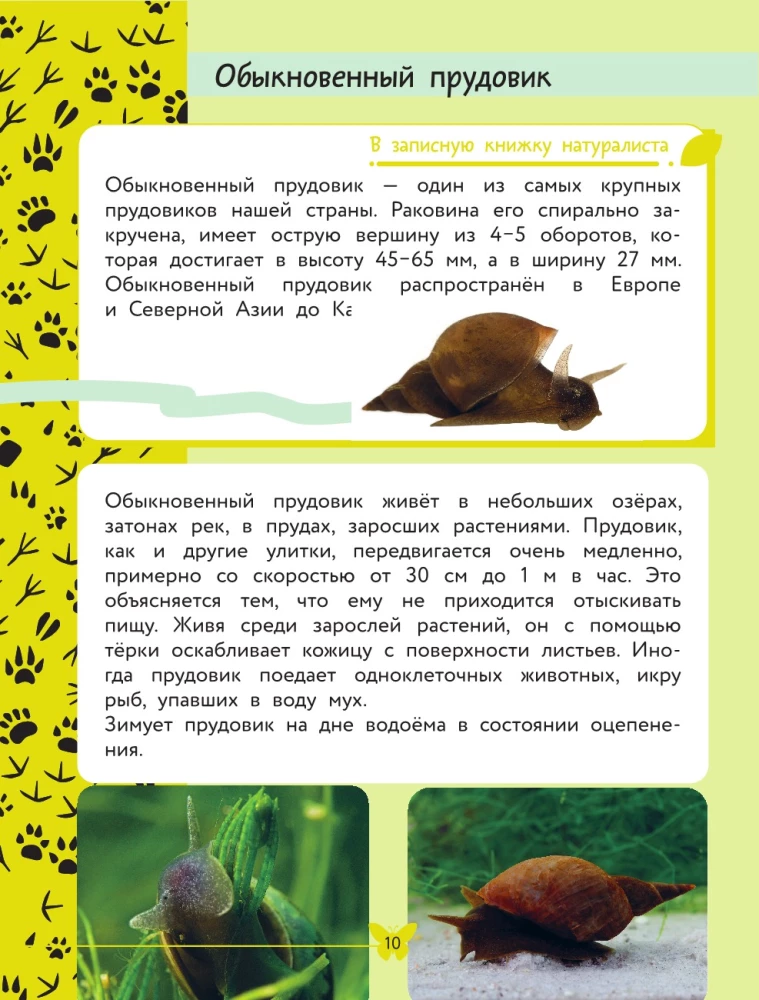 The World Around Us. Animals