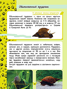 The World Around Us. Animals