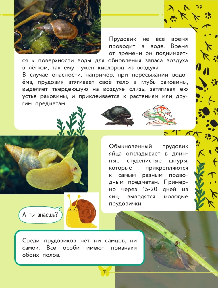 The World Around Us. Animals