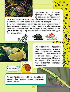 The World Around Us. Animals