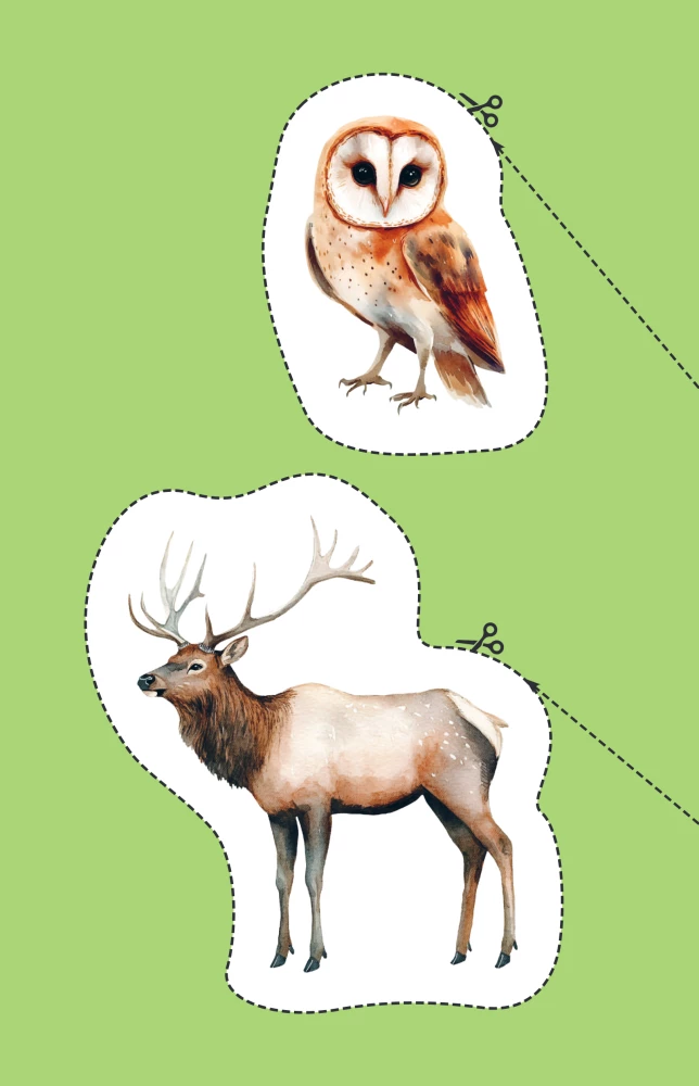 Meine ersten Ausschneidebücher. Tiere