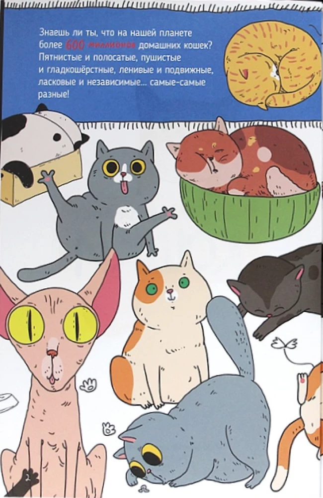 KATZEN. GROSSE GEHEIMNISSE KLEINER RÄUBER
