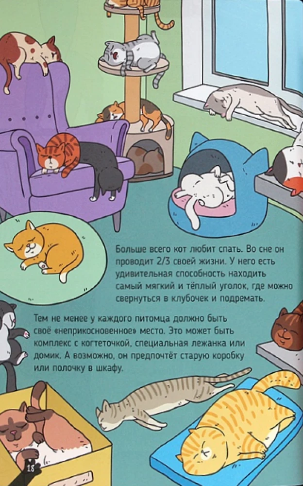KATZEN. GROSSE GEHEIMNISSE KLEINER RÄUBER