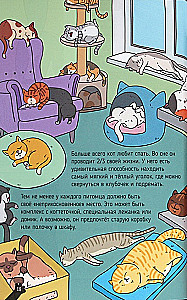 KATZEN. GROSSE GEHEIMNISSE KLEINER RÄUBER