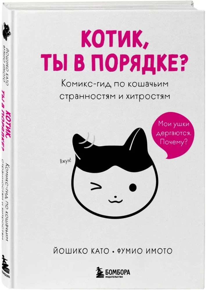 Koteczku, czy wszystko w porządku? Komiksowy przewodnik po kocich dziwactwach i sztuczkach