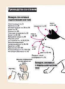 Koteczku, czy wszystko w porządku? Komiksowy przewodnik po kocich dziwactwach i sztuczkach