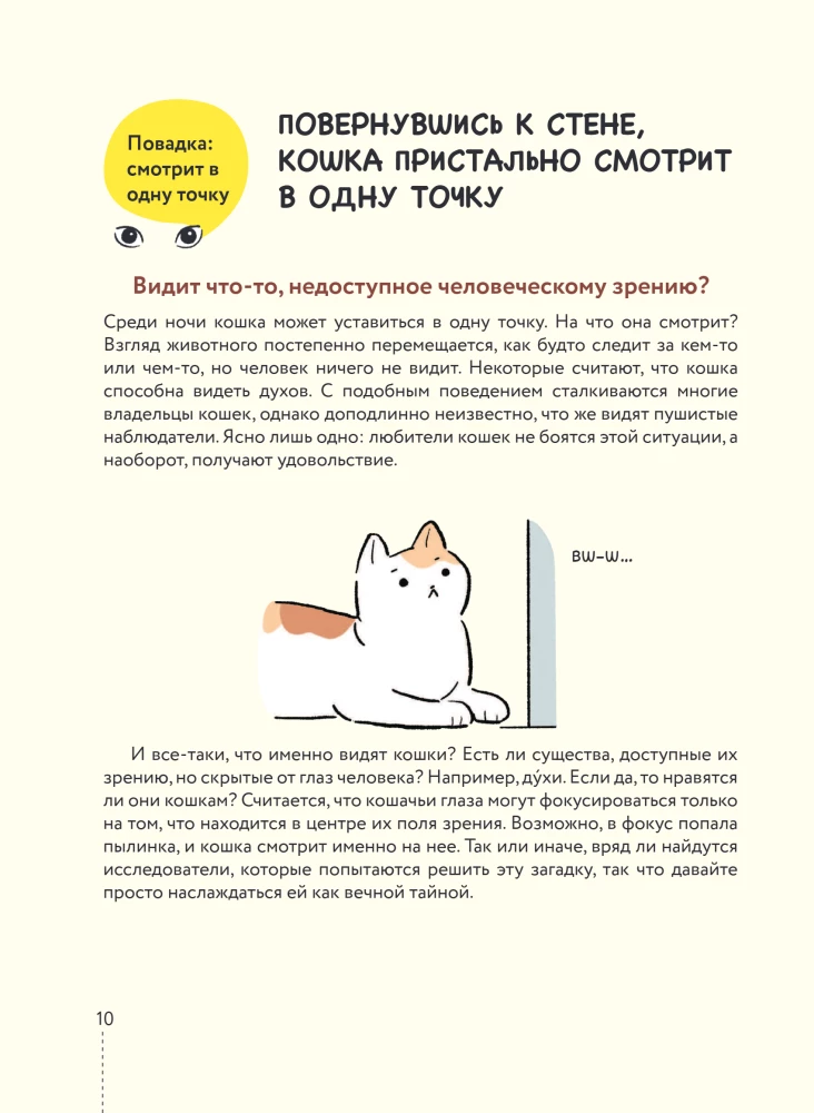 Koteczku, czy wszystko w porządku? Komiksowy przewodnik po kocich dziwactwach i sztuczkach