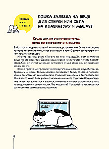 Koteczku, czy wszystko w porządku? Komiksowy przewodnik po kocich dziwactwach i sztuczkach