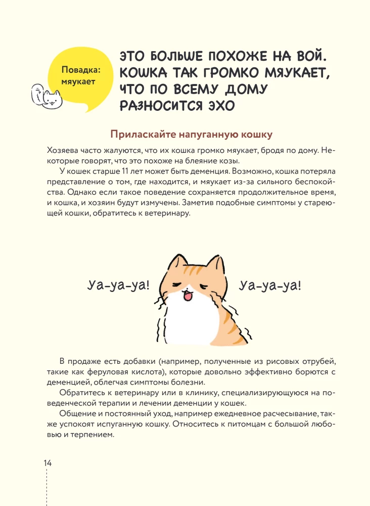 Koteczku, czy wszystko w porządku? Komiksowy przewodnik po kocich dziwactwach i sztuczkach