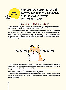 Koteczku, czy wszystko w porządku? Komiksowy przewodnik po kocich dziwactwach i sztuczkach