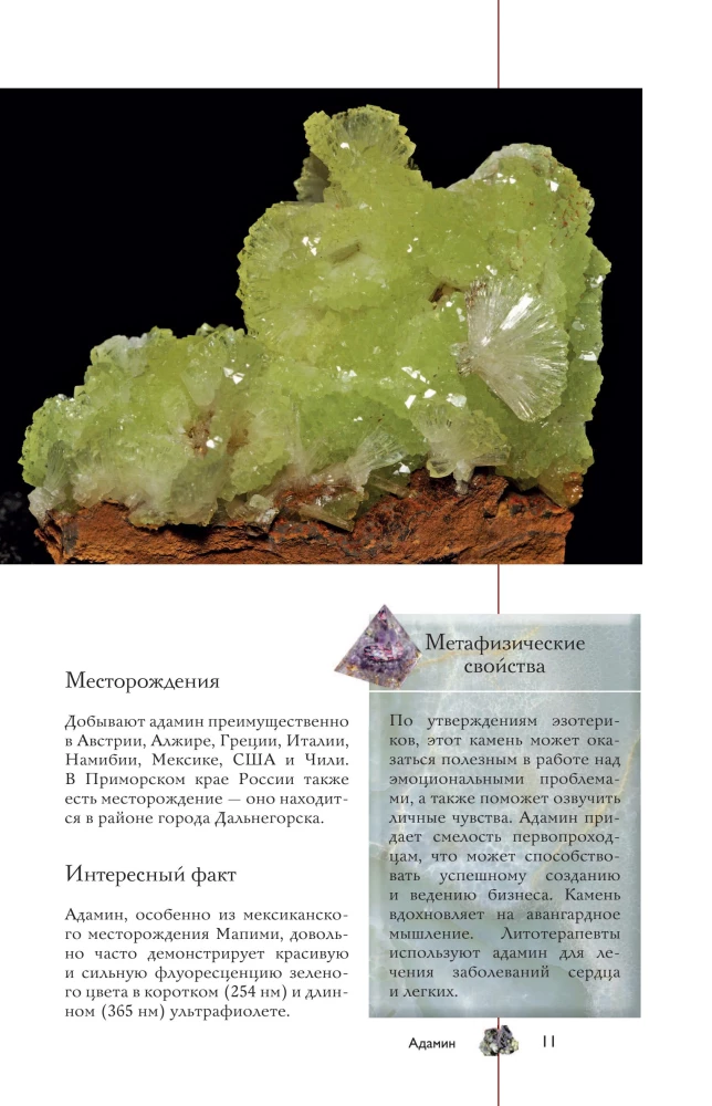 Kolekcionējami minerāli. Populārs ilustrēts ceļvedis. Ar papildinātu 3D realitāti